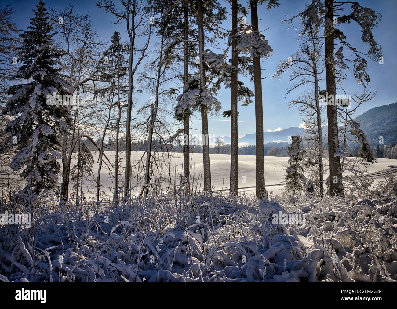 DE - BAVIÈRE: Scène d'hiver à Buchberg près de Bad Toelz (HDR-image) Banque D'Images