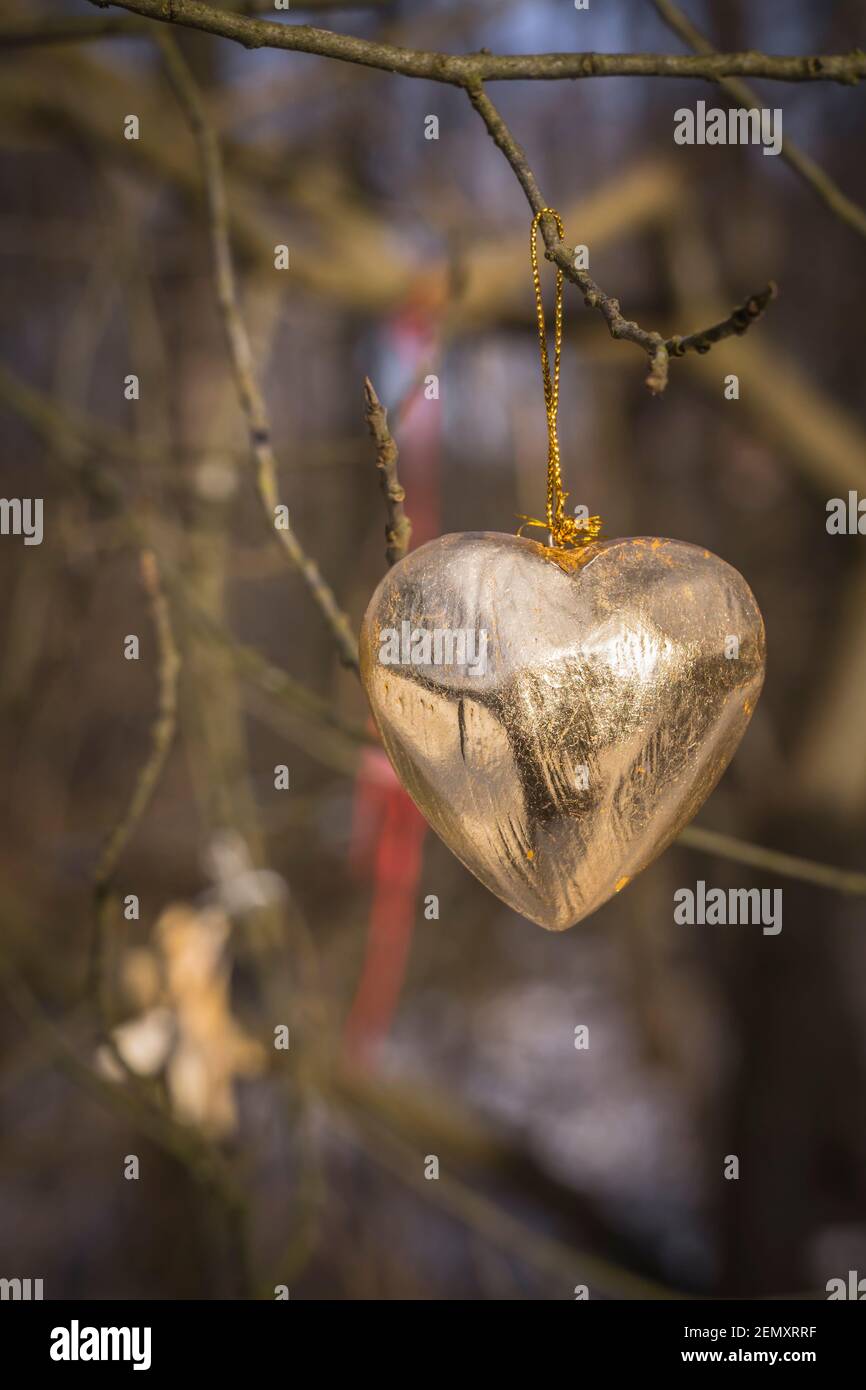 coeur doré sur un arbre Banque D'Images