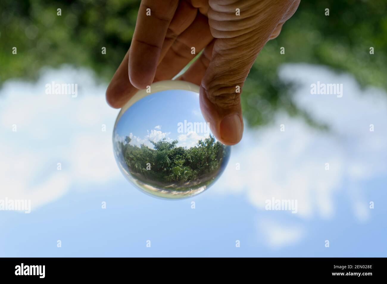 Gros plan des doigts d'une main soutenant une boule de cristal en dessous. En arrière-plan les arbres flous et le ciel bleu Banque D'Images