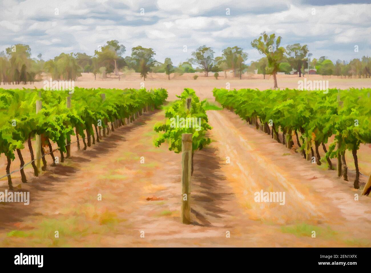 Peinture numérique d'un vignoble dans la Hunter Valley, Nouvelle-Galles du Sud, Australie. Banque D'Images