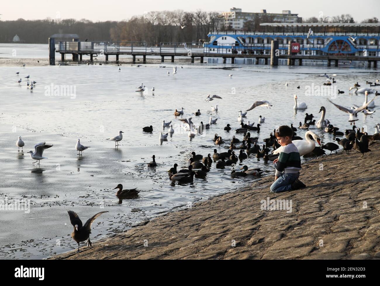 Berlin, Allemagne. 25 février 2021. Un garçon regarde les oiseaux près du lac Tegel recouvert de glace mince à Berlin, capitale de l'Allemagne, le 25 février 2021. Credit: Shan Yuqi/Xinhua/Alay Live News Banque D'Images
