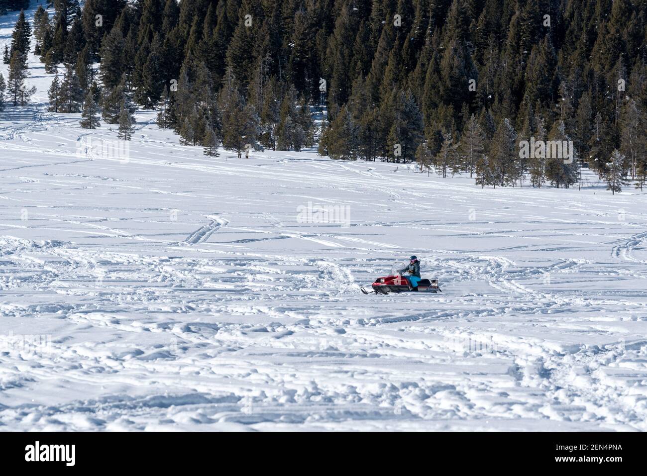 Motoneige dans un pré, Sawtooth Valley, Idaho. Banque D'Images