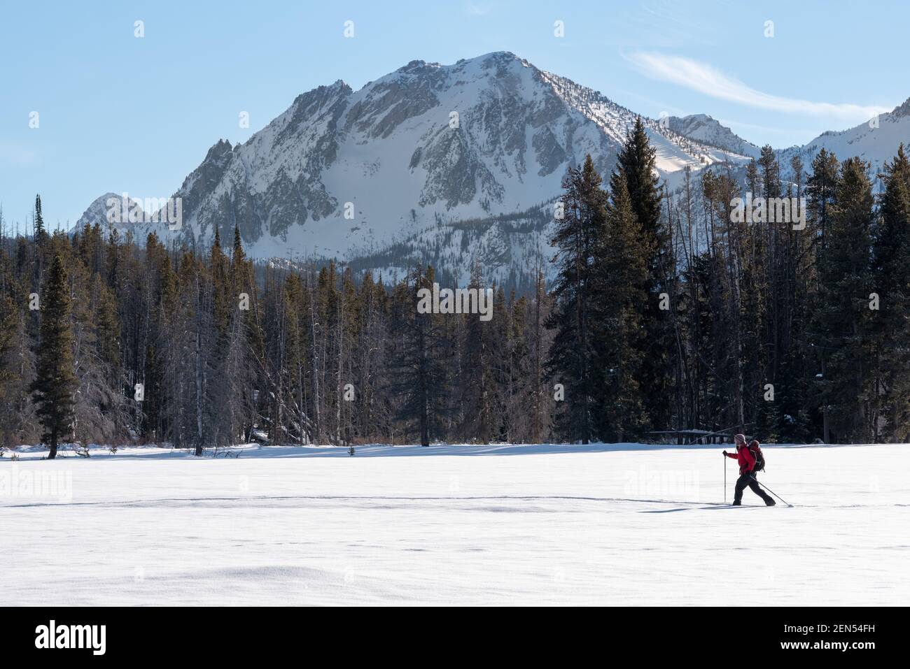 Ski de fond dans la région de Park Creek, Sawtooth Mountains, Idaho. Banque D'Images