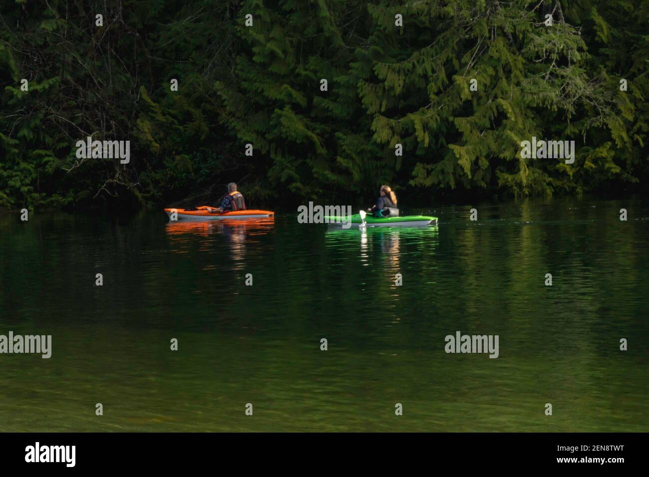 Kayaks rouges et verts sur le lac McIvor lors d'une journée d'hiver douce et ensoleillée sur l'île de Vancouver. Deux personnes pagayer, arbres, soleil, scène paisible, réflexion. Banque D'Images