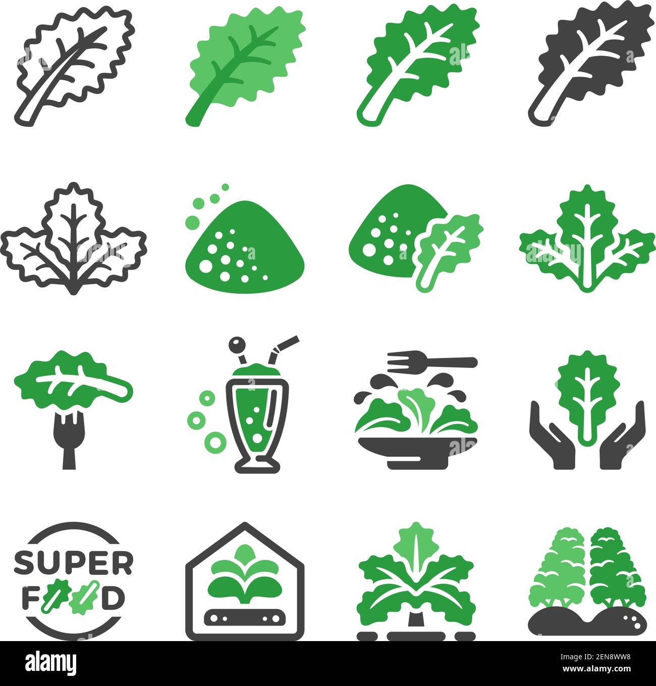 jeu d'icônes kale, vecteur et illustration Illustration de Vecteur