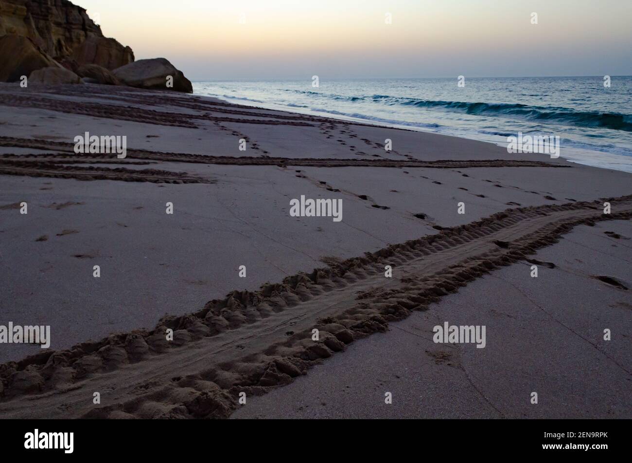 Les pistes des tortues de mer menant vers le golfe Arabo-Persique au lever du soleil, Ras Al-Jinz Oman Banque D'Images