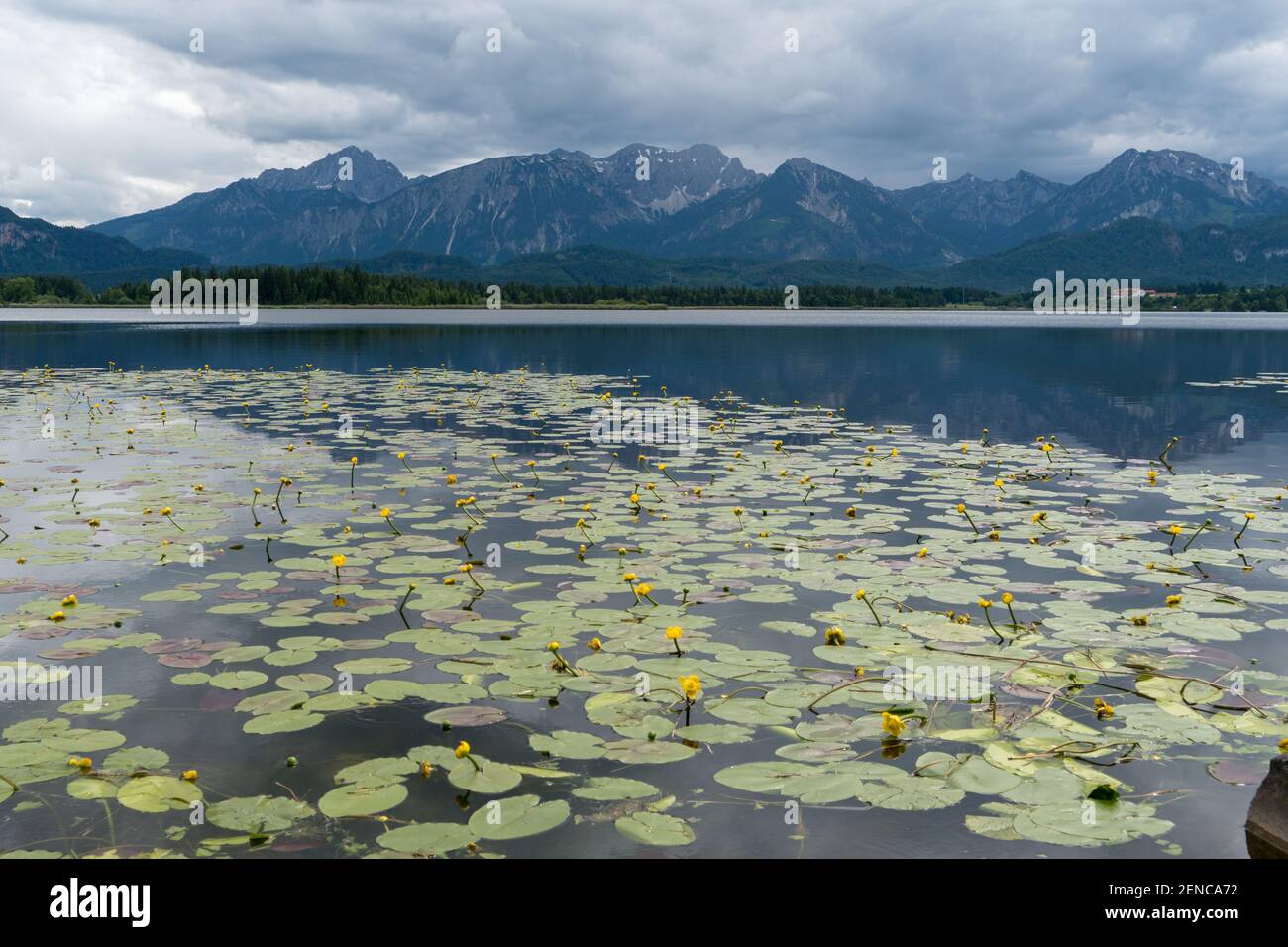 Lac de montagne dans les Alpes allemandes Banque D'Images