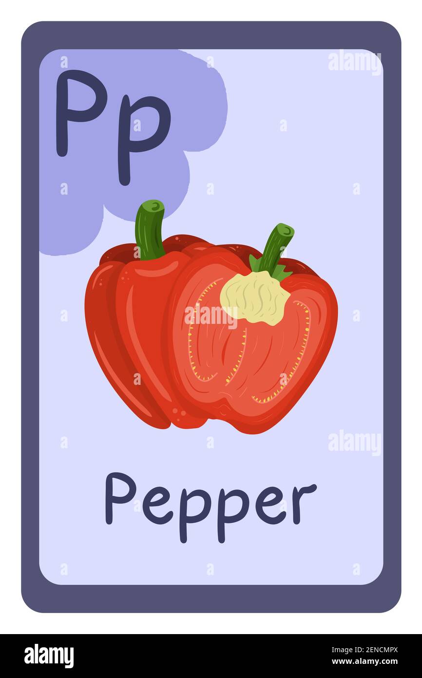 Carte flash d'éducation abc colorée, lettre P - poivre, couleur rouge entière et moitié avec des graines. Illustration vectorielle de l'alphabet avec les aliments, les fruits et les légumes. École, étude, concept d'apprentissage. Illustration de Vecteur