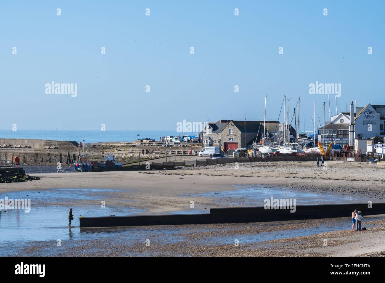 Lyme Regis, Dorset, Royaume-Uni. 26 février 2021. UK Weather: Un jour glorieux de soleil chaud et de ciel bleu clair non cassé à la station balnéaire de Lyme Regis. Credit: Celia McMahon/Alamy Live News Banque D'Images