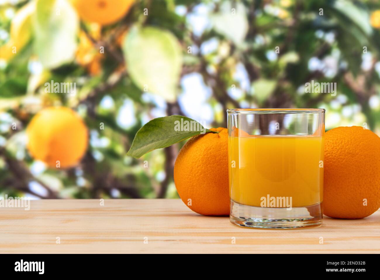 Verre de jus d'orange et de fruits d'orange sur fond de nature. Concept fruit. Banque D'Images