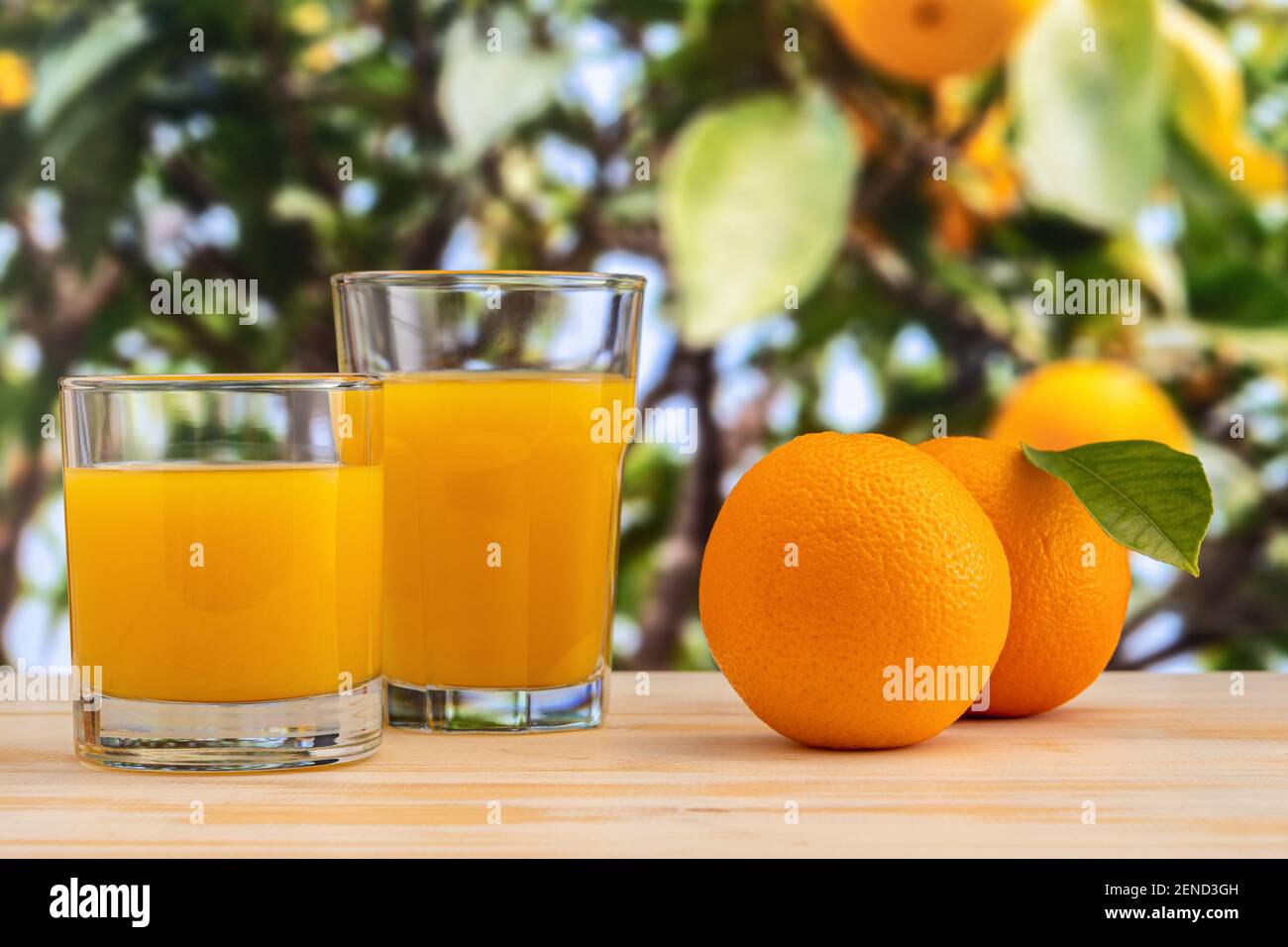 Deux verres de jus d'orange sur fond de nature. Concept fruit. Banque D'Images