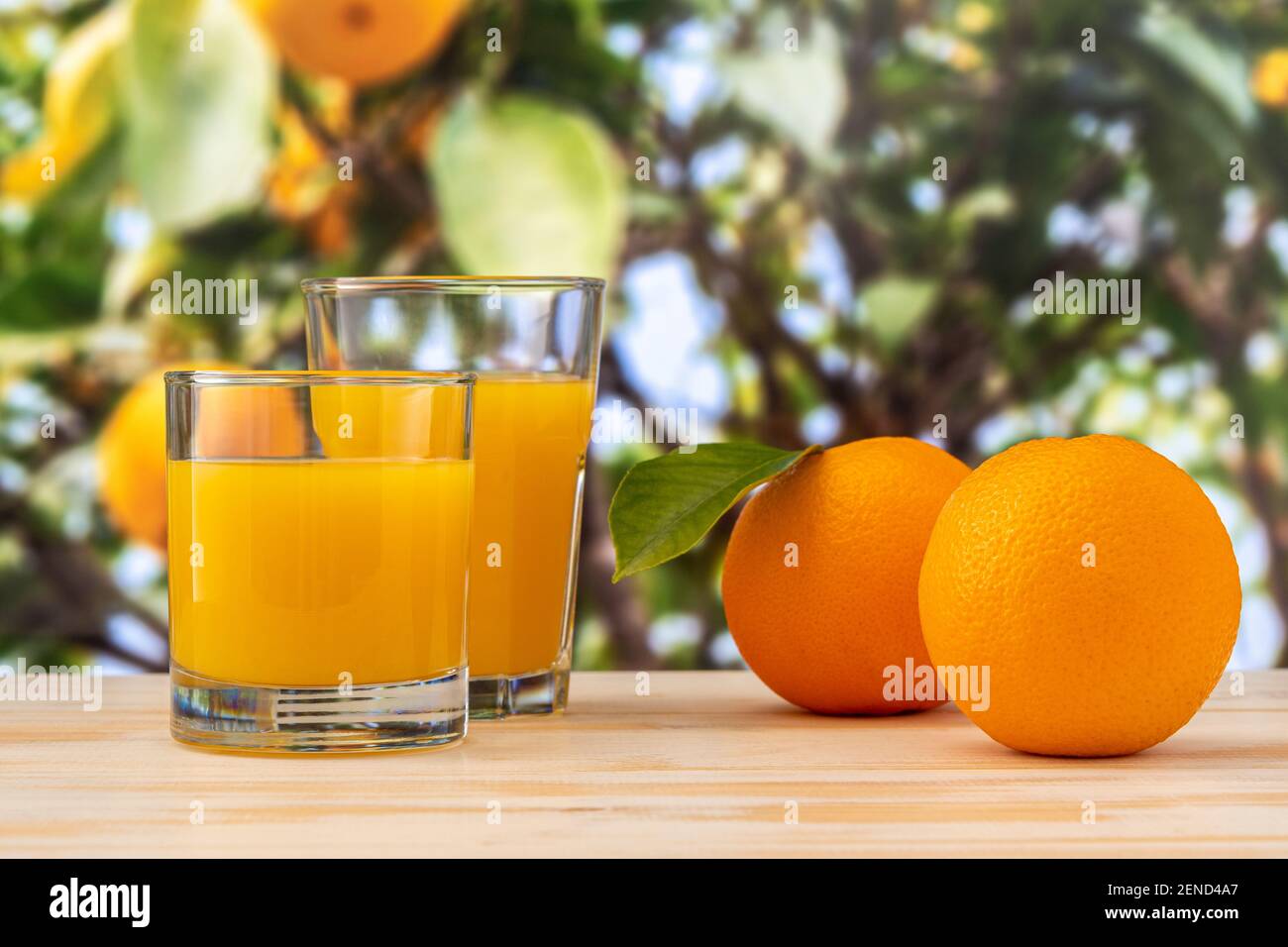 Deux verres de jus d'orange sur fond de nature. Concept fruit. Banque D'Images