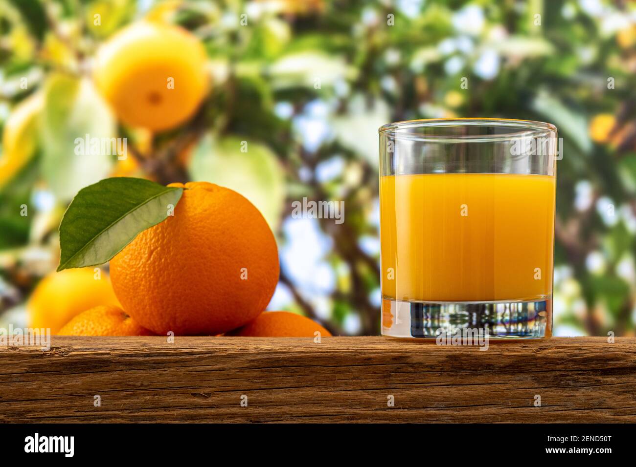 Verre de jus d'orange sur fond de nature. Concept fruit. Banque D'Images