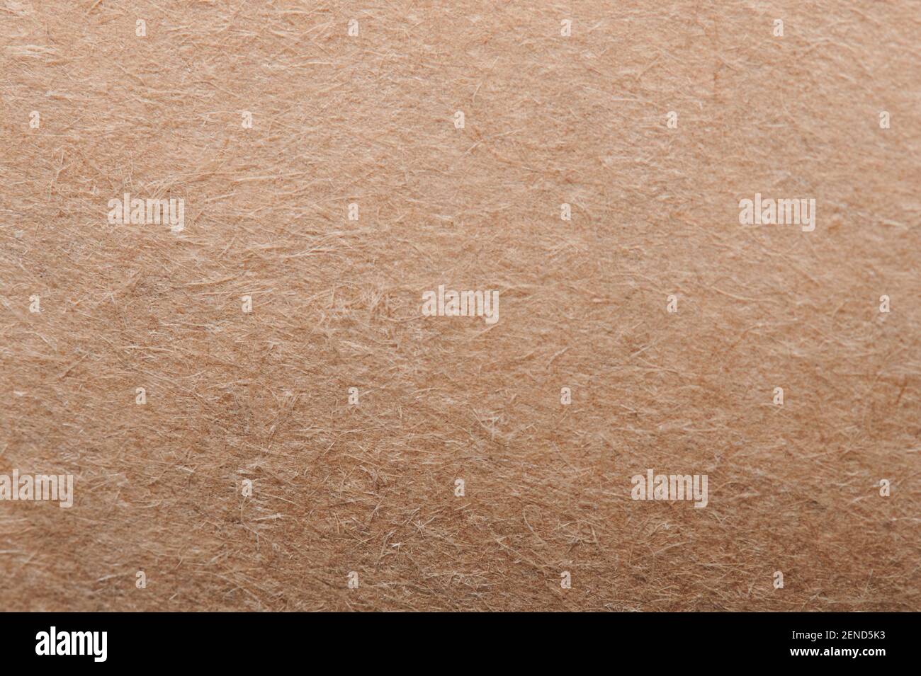 Macro texture papier marron douce en gros plan Banque D'Images