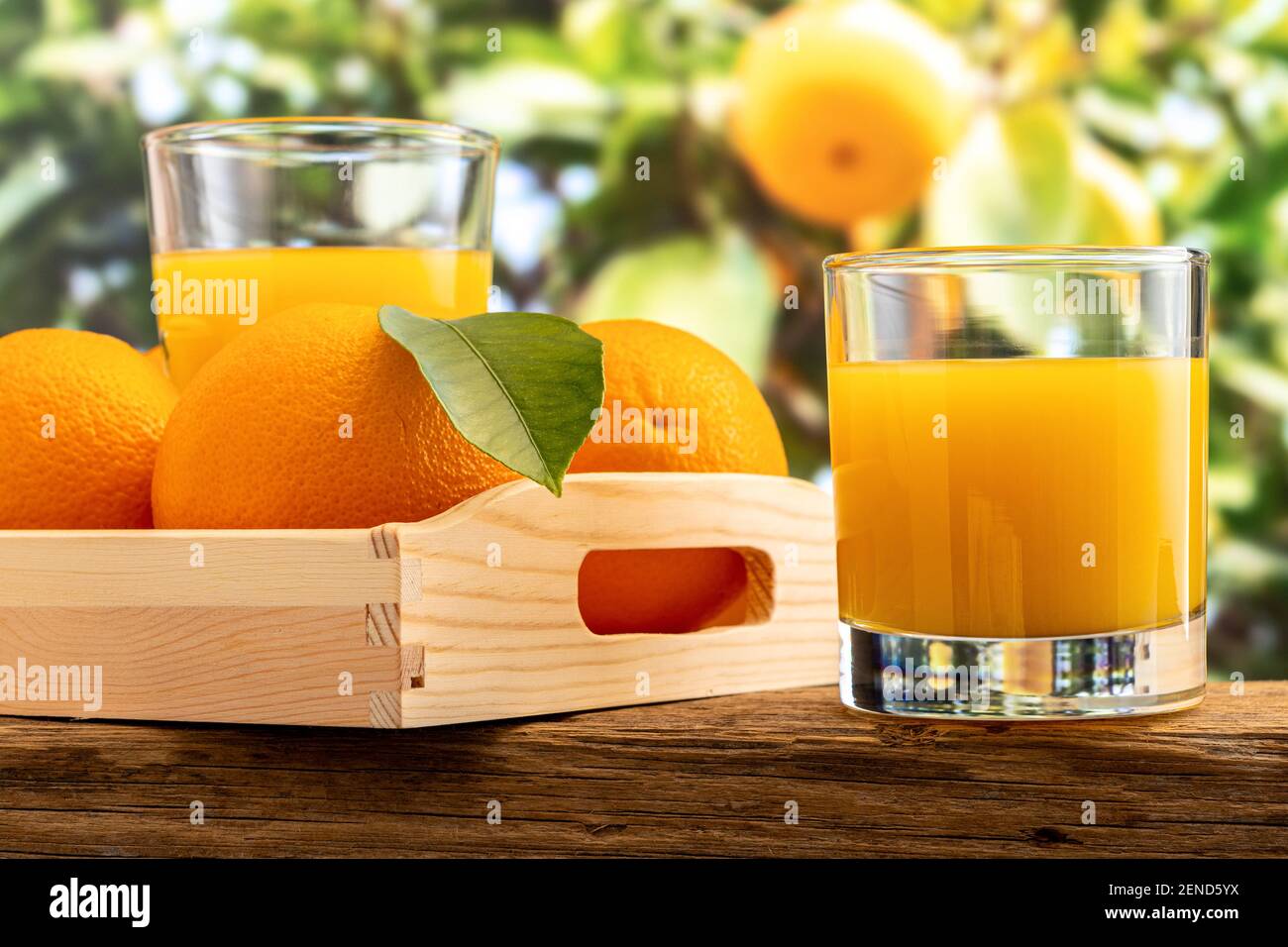 Deux verres de jus d'orange sur fond de nature. Concept fruit. Banque D'Images