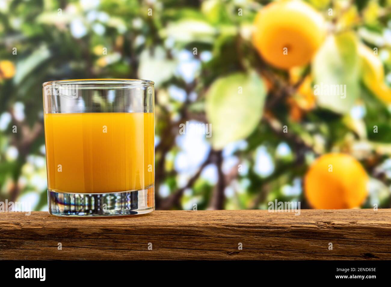 Verre de jus d'orange sur fond de nature. Concept fruit. Banque D'Images