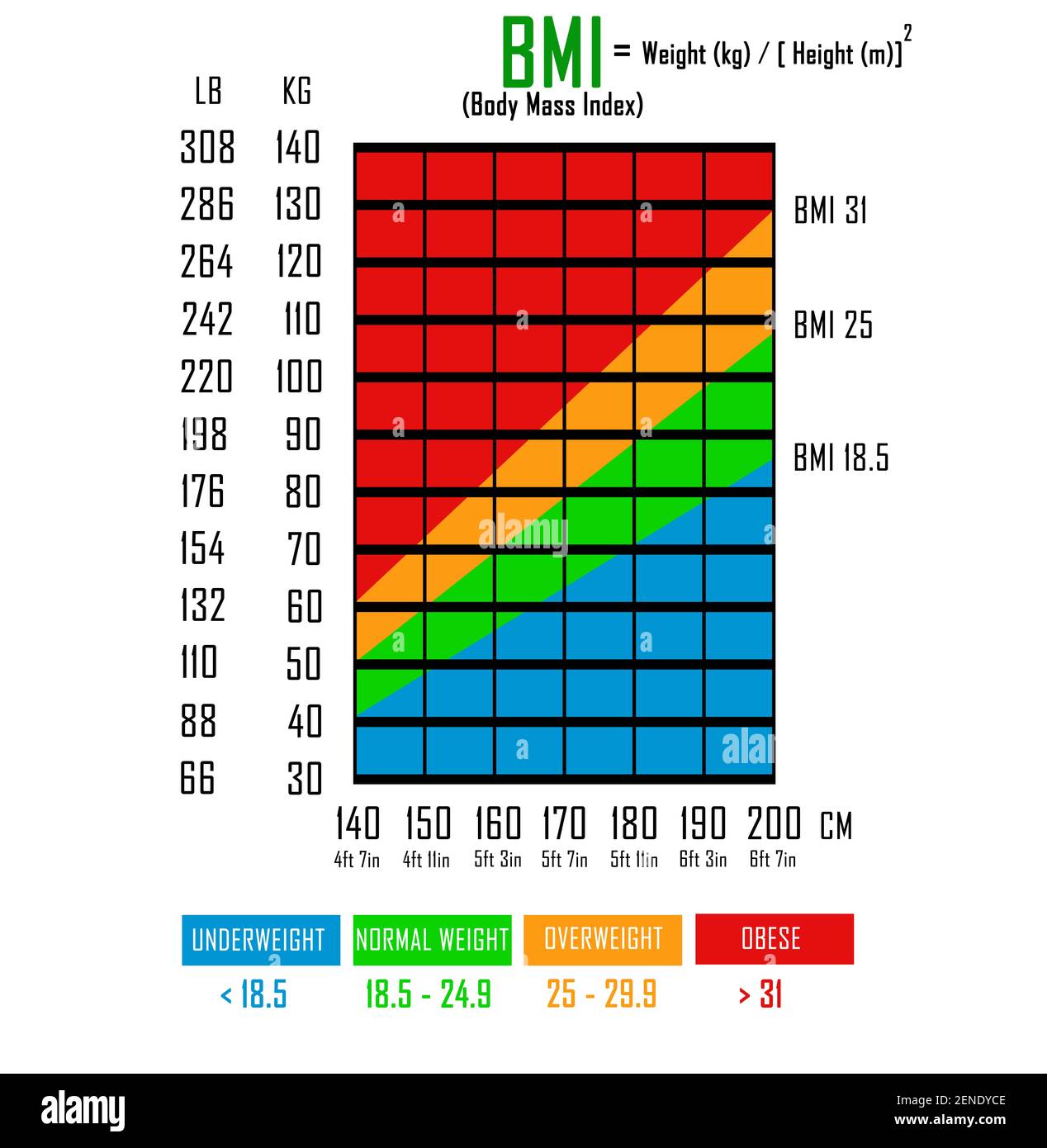 Indice de masse corporelle (IMC) graphique en libs, kg, centimètres et  pieds. Formule pour calculer l'IMC Photo Stock - Alamy
