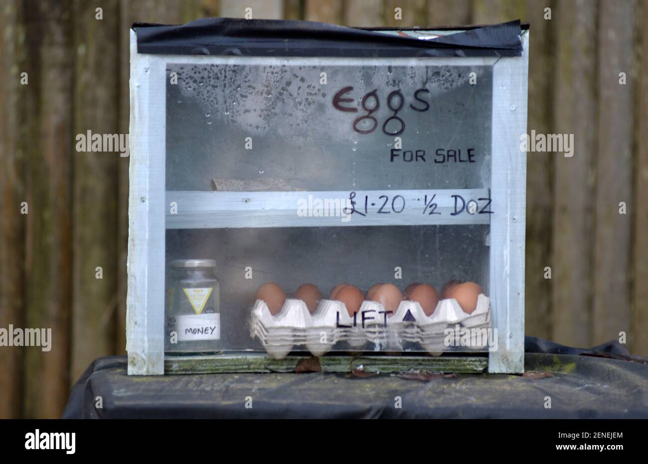 œufs locaux à vendre boîte broome norfolk angleterre Banque D'Images