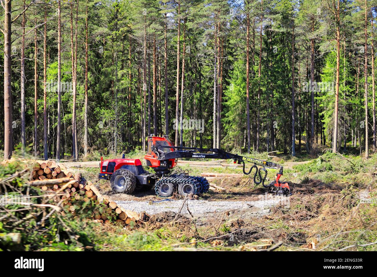 Moissonneuse forestière Komatsu 931 sur le site de l'exploitation forestière dans la forêt de conifères, le jour ensoleillé du début de l'été. Sud de la Finlande, 3 juin 2017. Banque D'Images