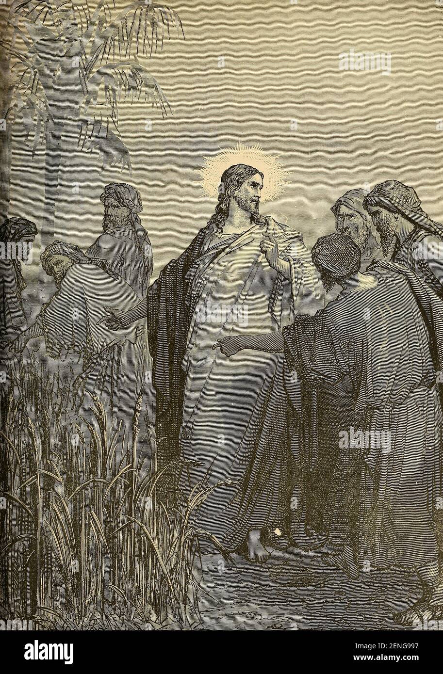 Maïs pileux le sabbat [Marc 2:23 et Matthieu 12:1] de la ' la bibliothèque catholique picturale ' contenant sept volumes en un : l'histoire de la Sainte Vierge -- la colombe du tabernacle -- l'histoire catholique -- l'apparition de la Sainte Vierge -- UN index chronologique -- Lettres pastorales de la troisième plénière. Council -- UN chapelet de versets -- hymnes catholiques publiés à New York par Murphy & McCarthy en 1887 Banque D'Images