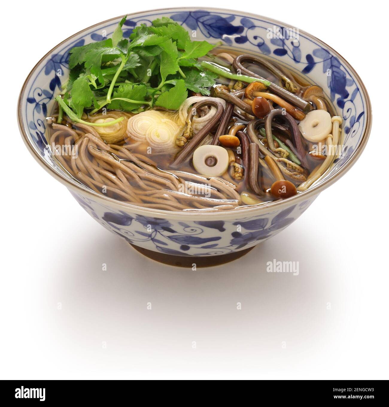 sansai soba, soupe japonaise de nouilles de sarrasin avec légumes de montagne ( plantes sauvages comestibles ) Banque D'Images