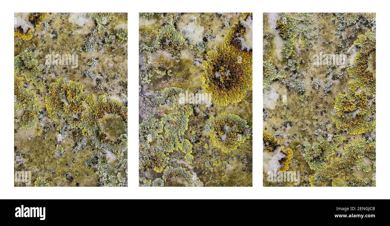 Triptyque résumé Banque D'Images