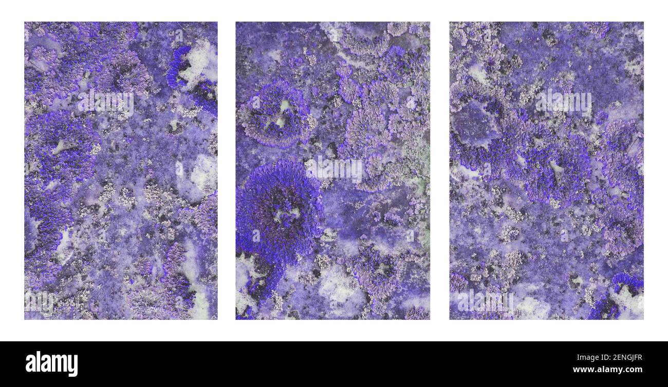 Triptyque résumé Banque D'Images