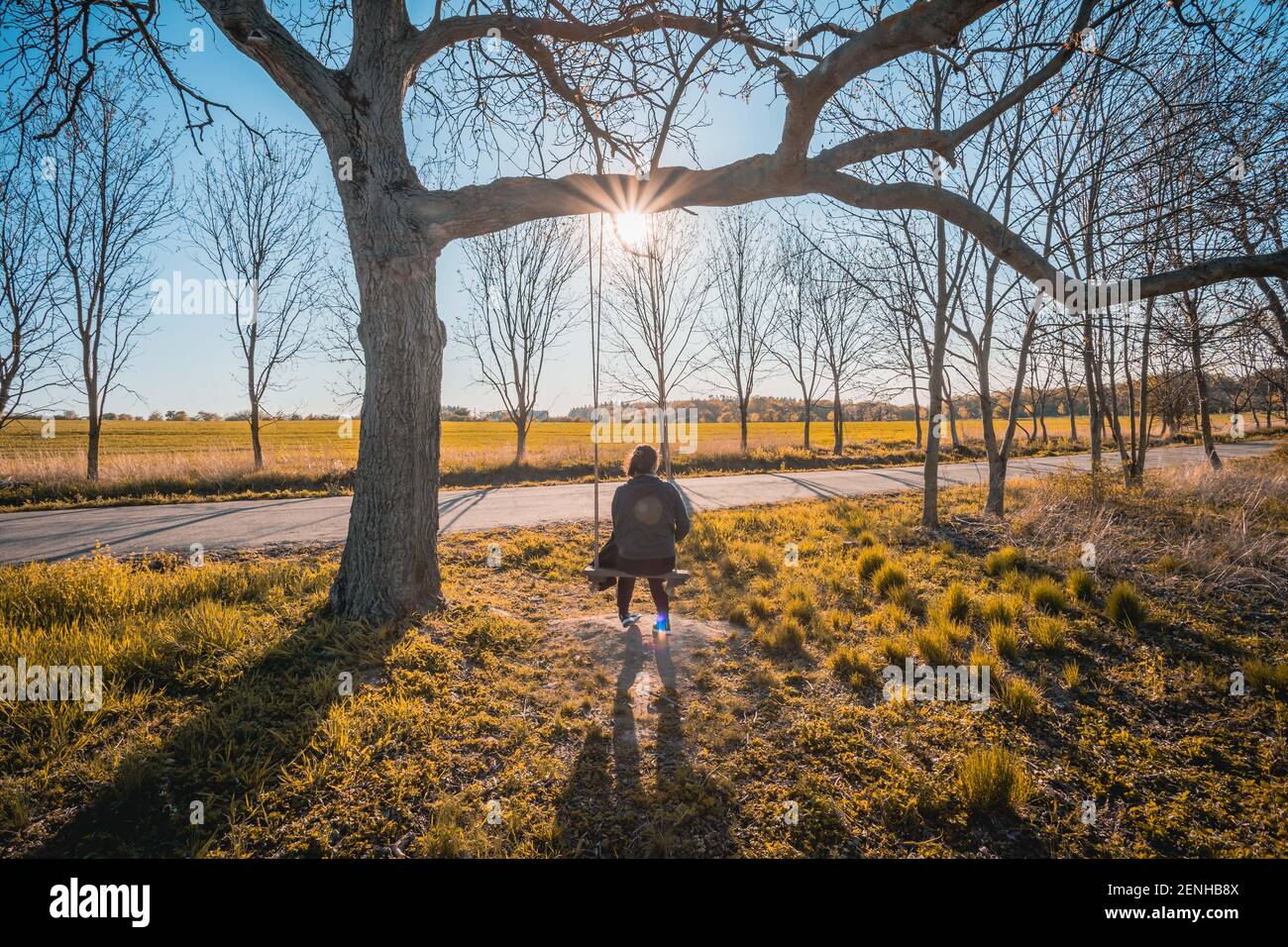 Bonne jeune femme sur un balancement avec fond de coucher de soleil Banque D'Images