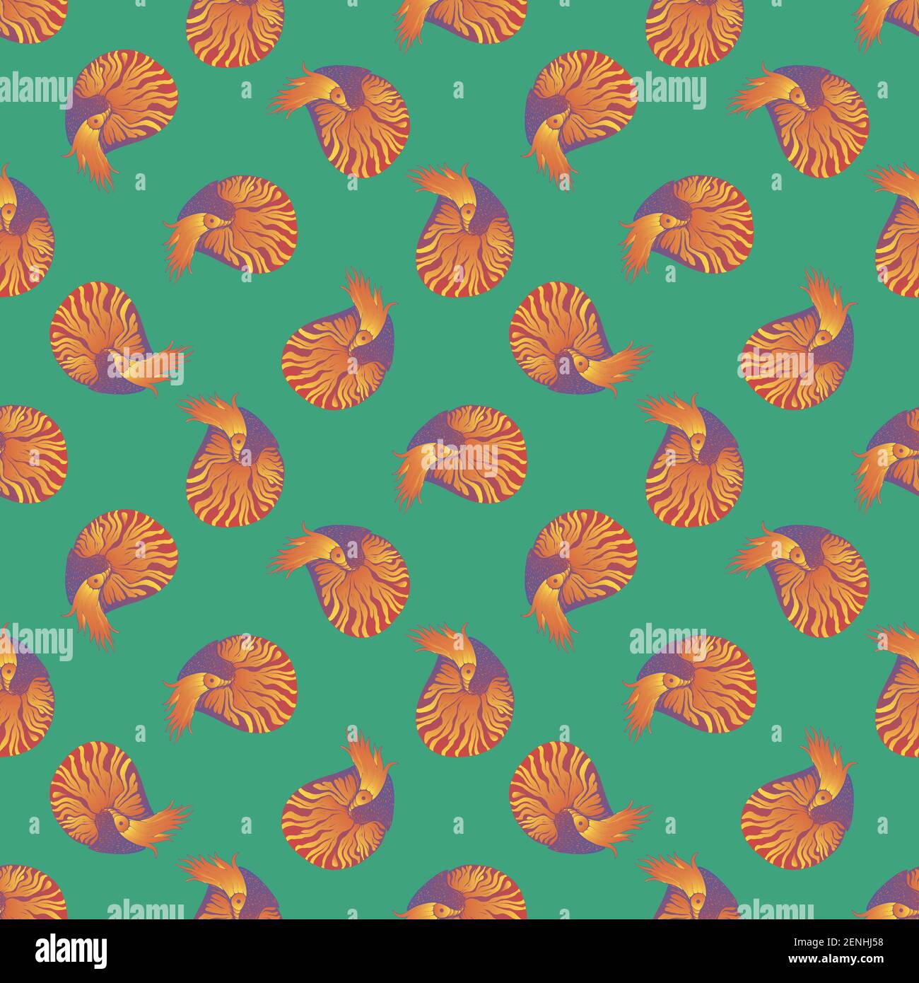 Nautilus coloré animaux de l'océan motif sans couture, isolé fond turquoise. Texture décorative avec mollusque de mer. Style de dessin animé. Vecteur tracé à la main Illustration de Vecteur