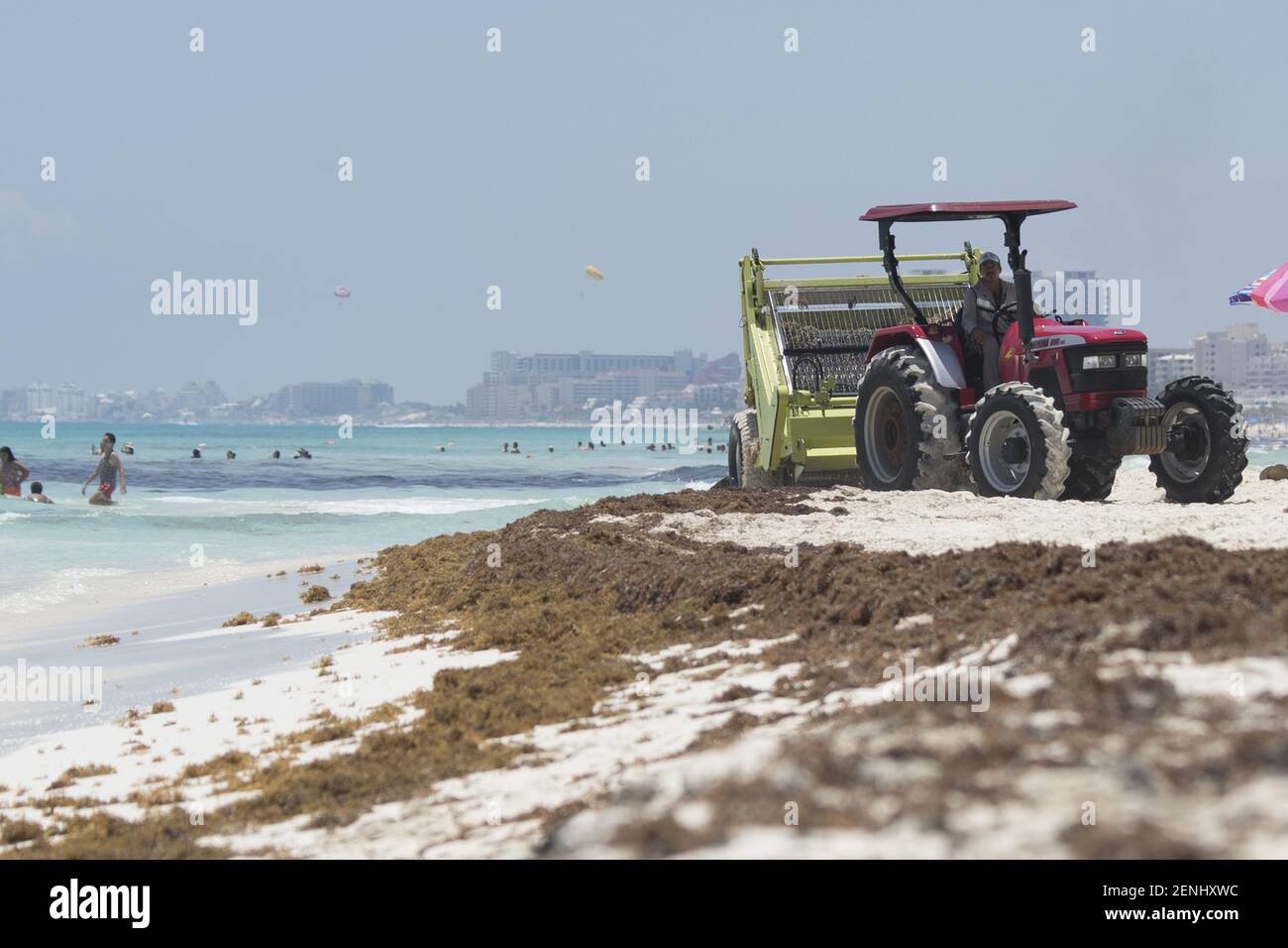 CANCUN, MEXIQUE AOÛT 24 Touristes sont vus sur la plage contaminée par le sargassum, un