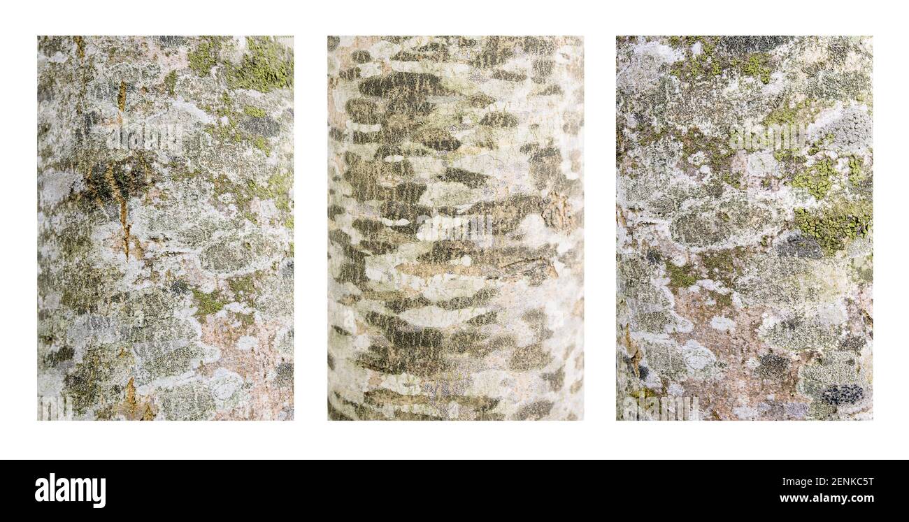 Triptyque résumé Banque D'Images