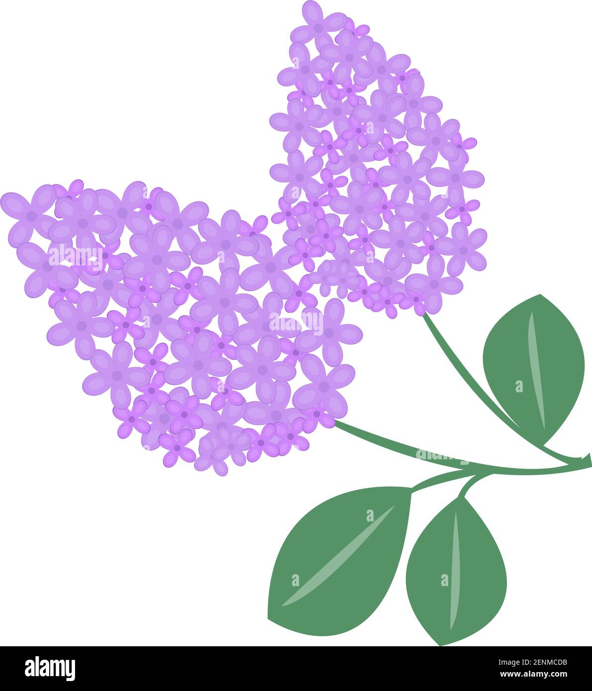 Icône fleur de branche lilas. Illustration vectorielle. Illustration de Vecteur