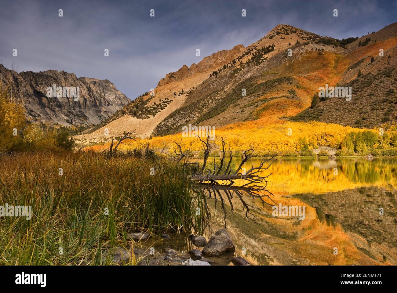 Dans le bassin nord du lac Sabrina en automne Évolution Région, John Muir Wilderness, est de la Sierra Nevada, Californie, USA Banque D'Images