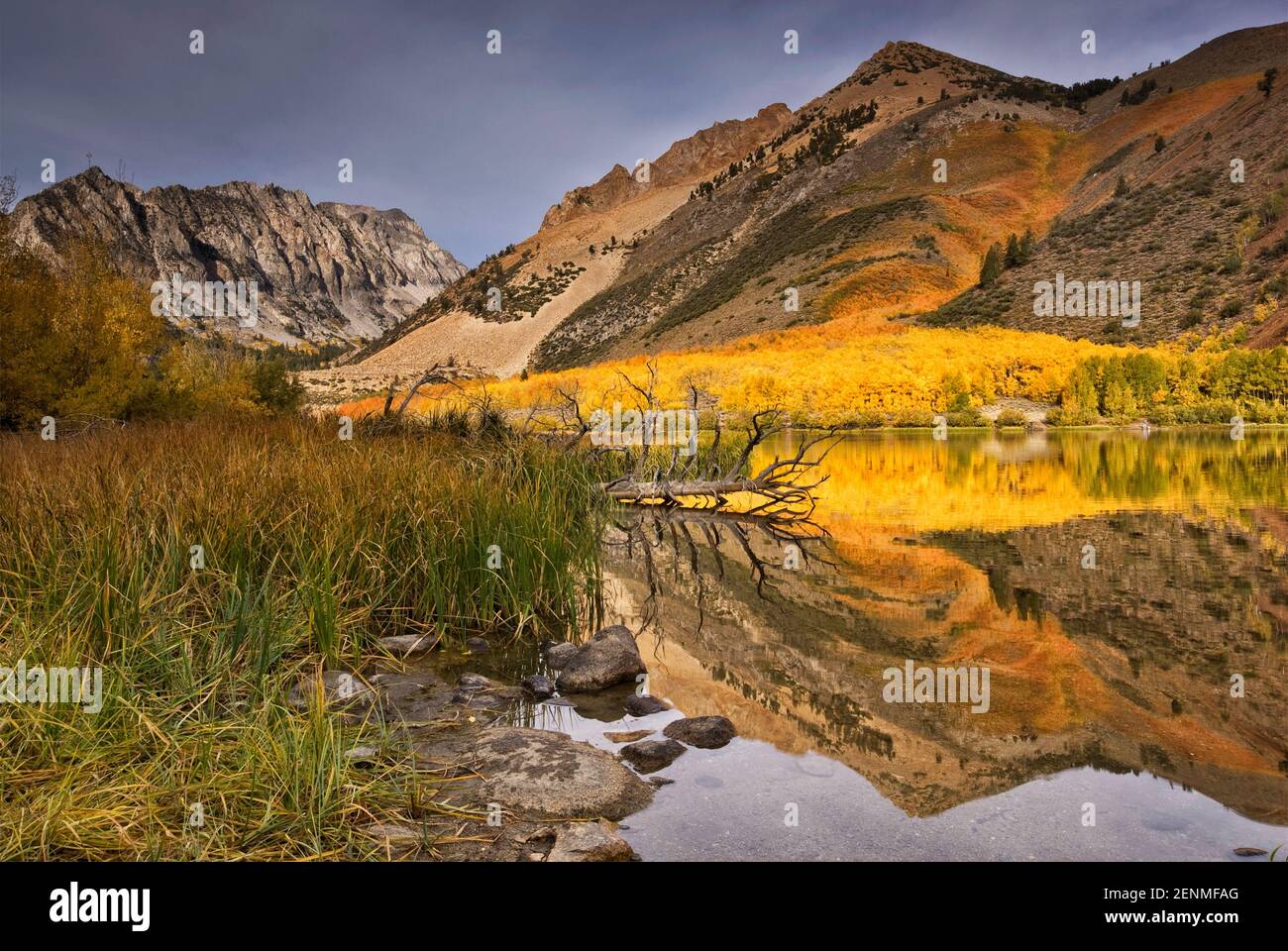 Dans le bassin nord du lac Sabrina en automne Évolution Région, John Muir Wilderness, est de la Sierra Nevada, Californie, USA Banque D'Images