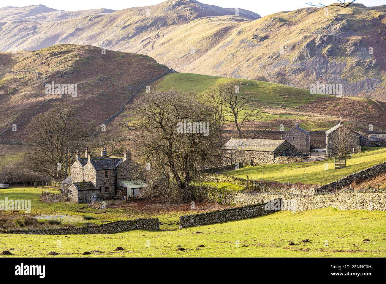 En regardant vers l'ouest en direction de Sandwick depuis Martindale sur les rives d'Ullswater dans le district des lacs anglais, Cumbria Royaume-Uni Banque D'Images