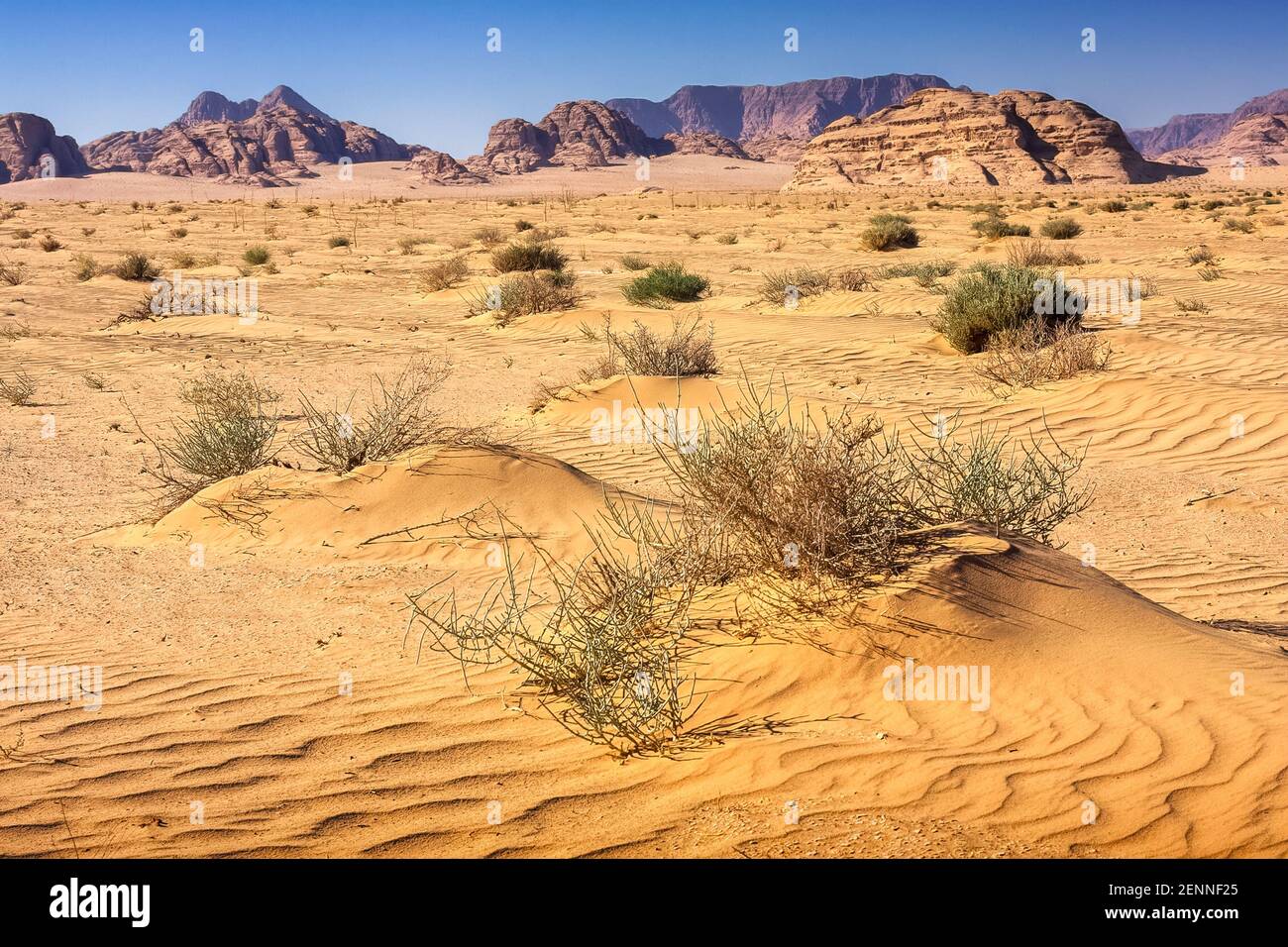 Vallée de la Lune dans le désert de Wadi Rum, Jordanie Banque D'Images