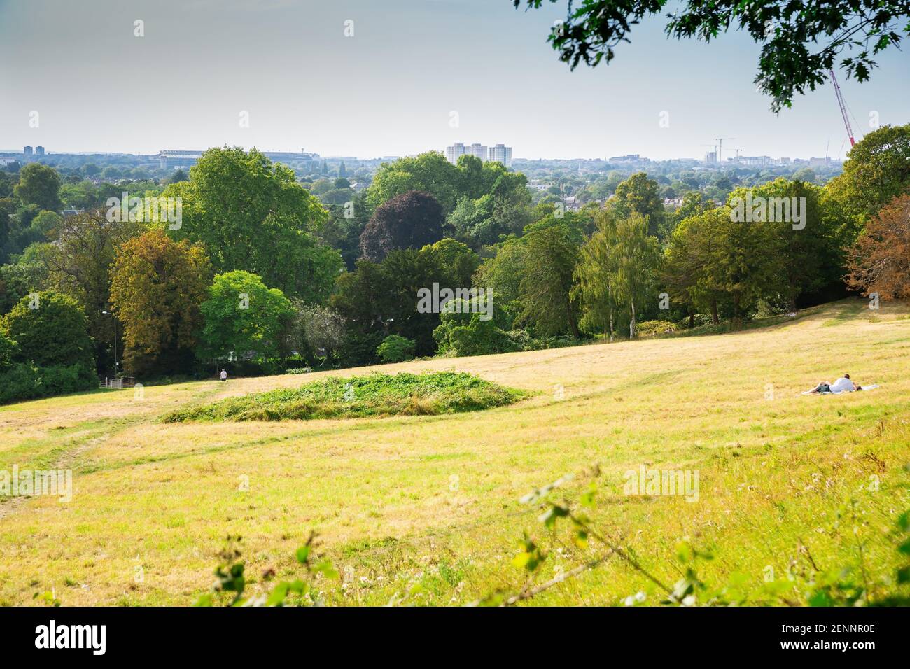 Vue sur Kingston, Surrey depuis Richmond Park, Royaume-Uni. Paysage avec arbres et champ dans la journée ensoleillée d'été. Banque D'Images