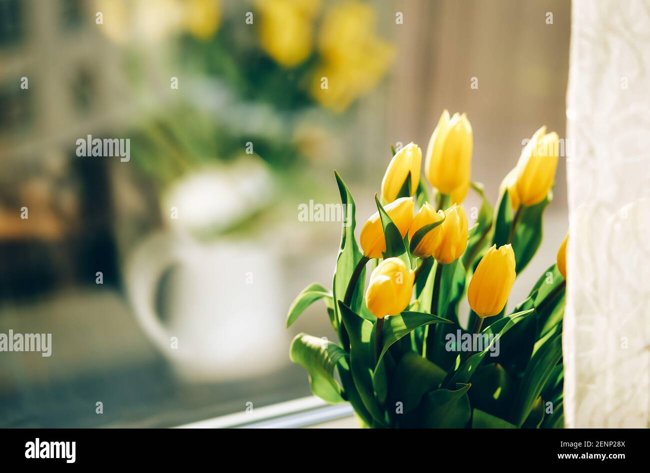 Bouquet de fleurs de tulipe jaune sur le rebord de la fenêtre Banque D'Images