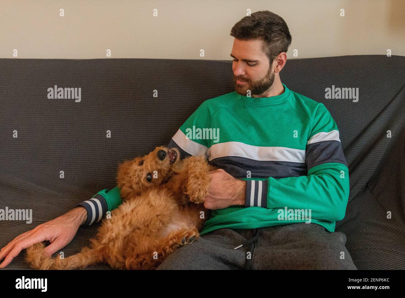 jeune chiot et son propriétaire Banque D'Images