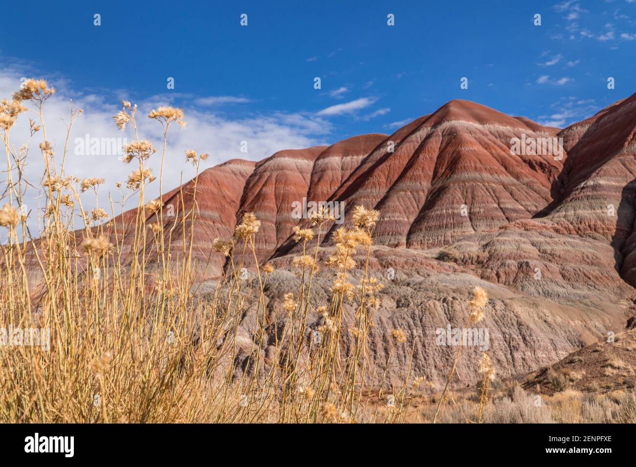 Vue sur les falaises/montagnes multicolores/peintes dans le désert de l'Utah, dans le sud-ouest de United États-Unis Banque D'Images