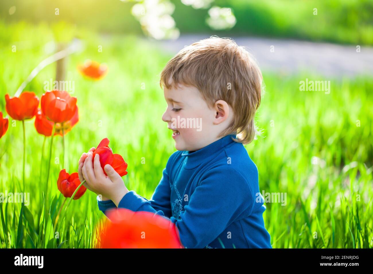 Portrait petit garçon dans jardin de fleurs.activité extérieure comme jouer, toucher et voir des choses réelles est le meilleur pour l'apprentissage sensoriel Banque D'Images
