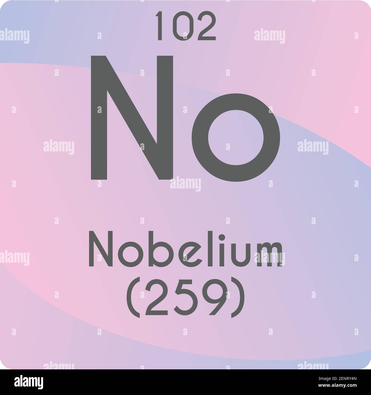 Pas de diagramme d'illustration de vecteur d'élément chimique Actinoïde Nobelium, avec numéro atomique et masse. Conception plate à gradient simple pour l'enseignement, le laboratoire, Illustration de Vecteur
