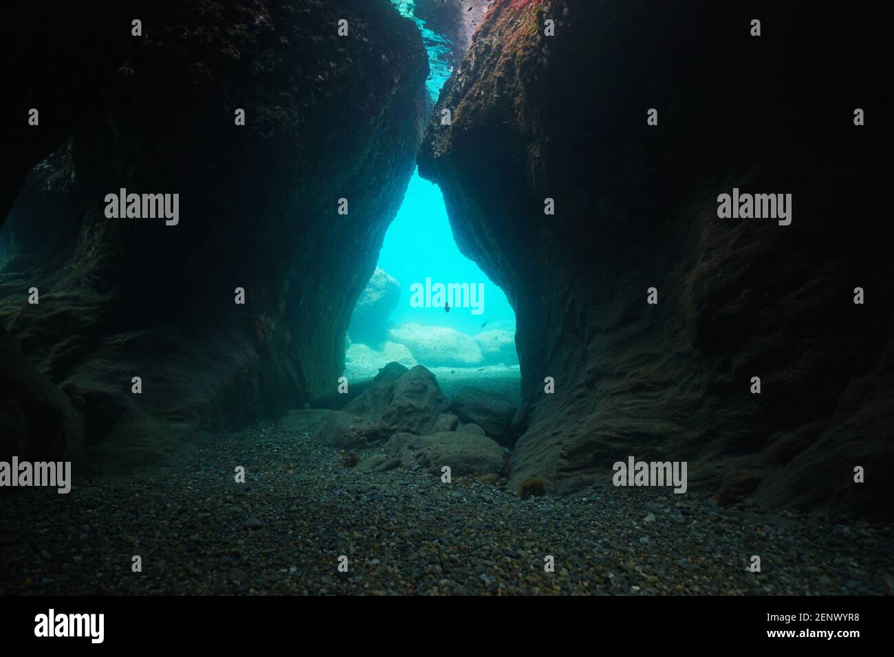 Paysage marin sous-marin à l'intérieur d'une grotte de mer, scène naturelle, Méditerranée, France Banque D'Images