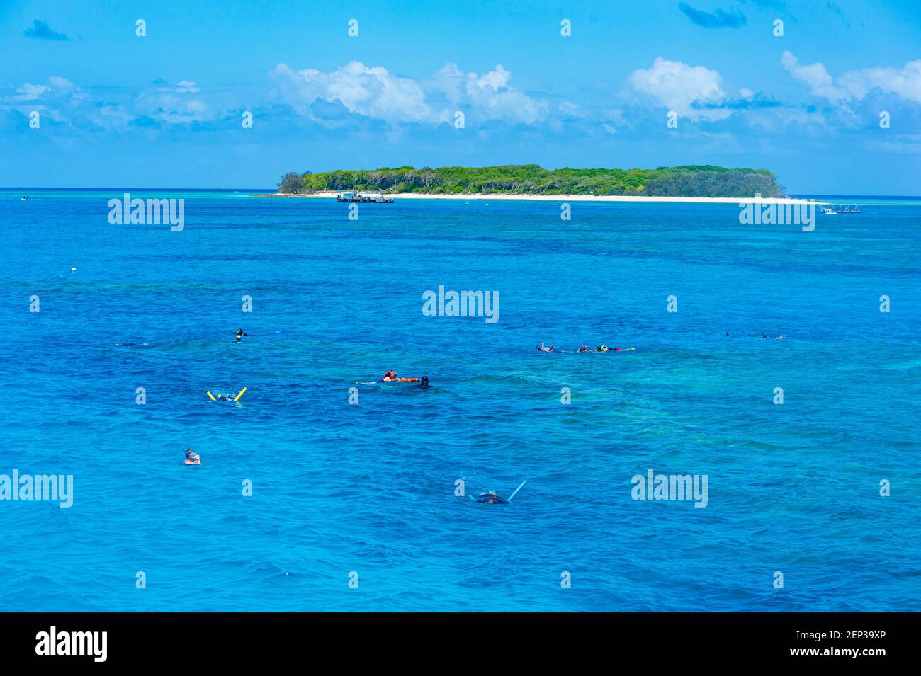 Touristes snorkeling sur le récif de corail à Lady Musgrave Island, la Grande barrière de corail du sud, Queensland, Queensland, Queensland, Australie Banque D'Images