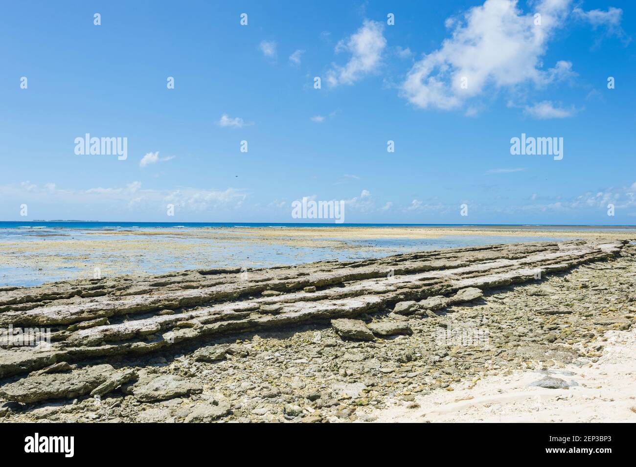 Conglomérat de corail lithifié sur la plage de l'île Lady Musgrave, une cay de corail classée au patrimoine mondial dans le groupe Capricorne-Bunker, dans le sud de la Grande barrière Re Banque D'Images