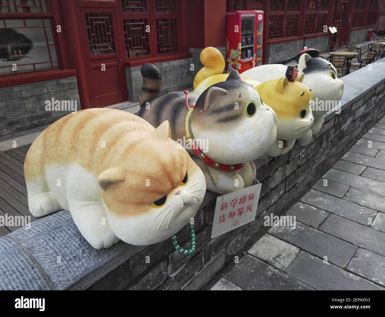 Des chats géants mignons ont été mis à la porte Shenwu de la Cité interdite à Beijing, en Chine, le 29 octobre 2019. (Photo par Qian Longwang - Imaginechina/Sipa USA) Banque D'Images