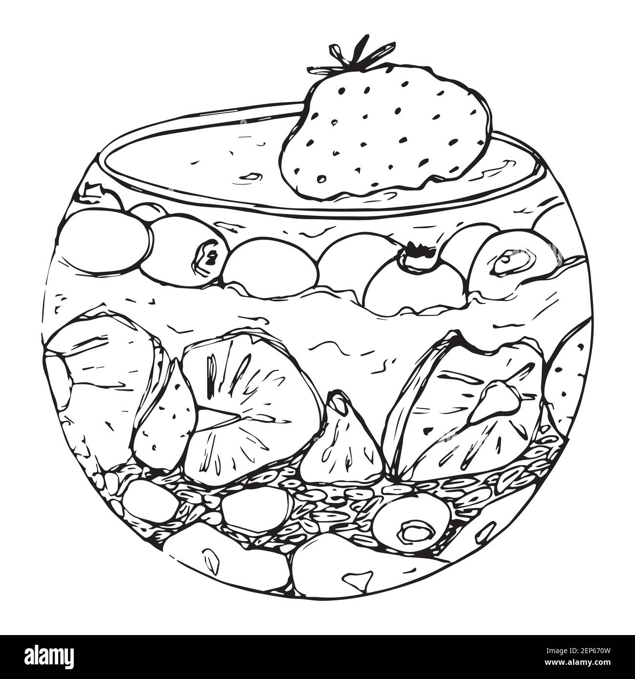 Illustration vectorielle de la granola avec yaourt, granola d'avoine, baies fraîches, miel et noix. En-cas bio et sain Illustration de Vecteur
