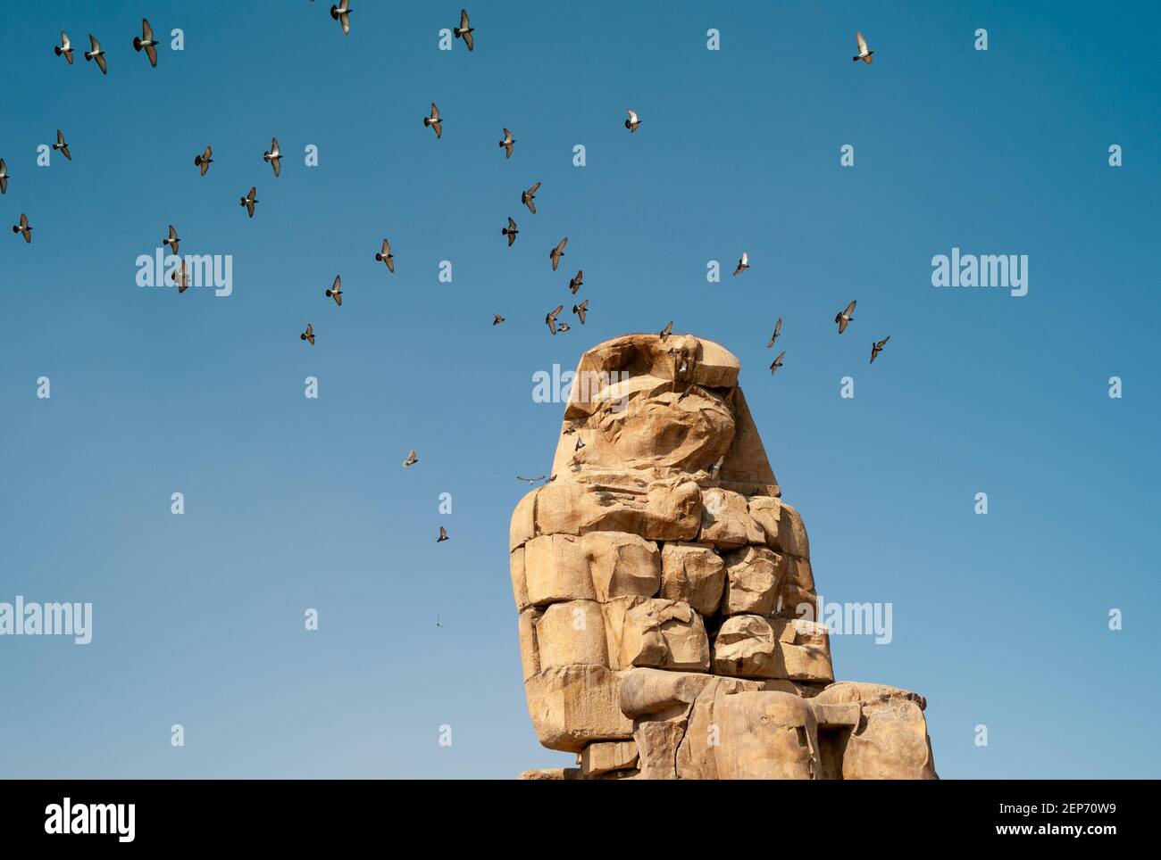 Le colosse de Memnon, le colosse du Nord, est une statue en pierre massive du Pharaon Amenhotep III, avec Birds Flying Banque D'Images