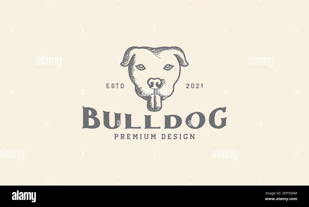 Animaux animaux animaux chien American Pit Bull Terrier Head logo vintage illustration graphique de symbole d'icône de vecteur de conception Illustration de Vecteur