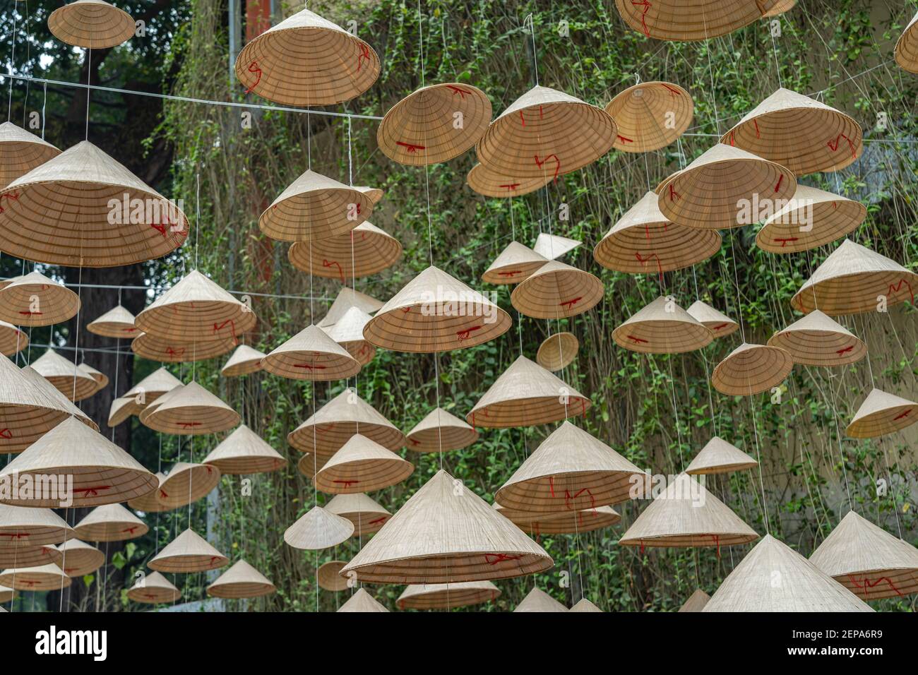Beaucoup de chapeau conique suspendu pour la décoration de vacances de Tet vietnamienne Banque D'Images